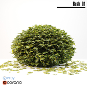 Plant bush_01 (Corona and Vray mat)