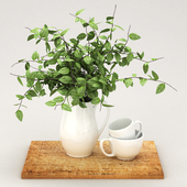 kitchen set plant  and tea cup