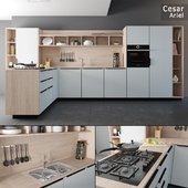 Kitchen set "Cesar Ariel"