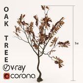 OAK Tree