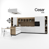 Cesar kitchen (Ariel)