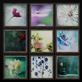A series of works by Flowers by Priska Wettstein