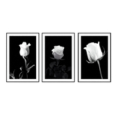 Постеры с розами в черно-белом стиле.