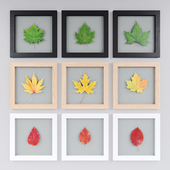 Leaves in glass in wooden frames