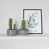 Decorative set - cactus and poster