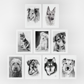 Набор из 7 постеров с собаками в черно-белых тонах.