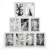 Набор из 9 постеров на тему леса в чёрно-белом стиле.