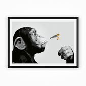 Постер с прикуривающим шимпанзе.