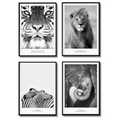 Черно-белые постеры с животными (тигр, лев, слон, зебра).