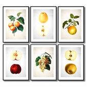 Постеры с фруктами для кухни.