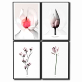 Постеры с цветками - магнолия и лотус.