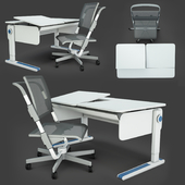 Function ergonomic desks and chairs