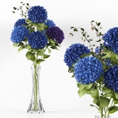Hydrangea blue Flower