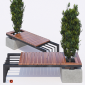 bench and thuja
