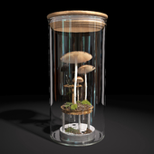 Mushroom florarium