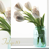 Tulip 10