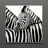 Pictures of "Zebra"