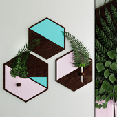 Hexagon plant hanger with moss and fern sprigs by WoodaHome