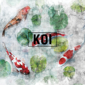 Factura | Koi