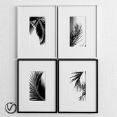 pictures"Leaves black and white"