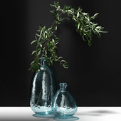 Olive branch in vase