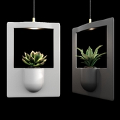 Pendant lamp with plant