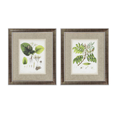 'East Indian Plants' 2 Piece Framed Graphic Art Set by Propac Images