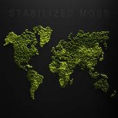 Stabilized moss - world map