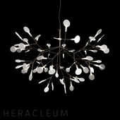 Chandelier Moooi Heracleum II