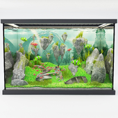 modern aquarium avatar