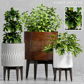 PLANT SET -102