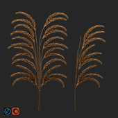 NAGA decor wheat set