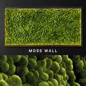 Moss wall 2