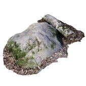 Stone with a log