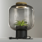 The plant lamp