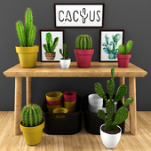 cactus set