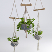Hanging flowerpots # 4