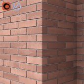 Brick masonry (2x2m)