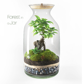 Forest in a Jar