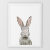 Picture bunny.