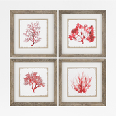 Red Coral 4 Piece Framed Graphic Art Set by Propac Images