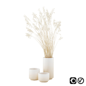 Vase set with dry grass