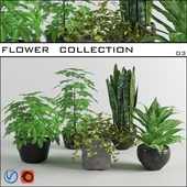 flower collection 03