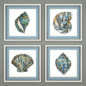 Pictures of Aquarelle Shells from Bassett Mirror Company