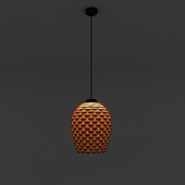 Ceiling Light