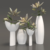 Vase set