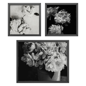 Black and white flowers set