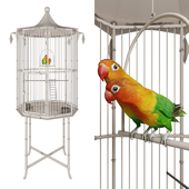Cage with lovebirds