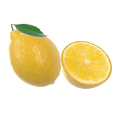 fresh lemon with slice and leaf