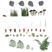 Forest ground set